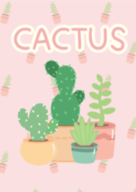 Cactus : pink