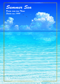 Summer Sea dolphins2