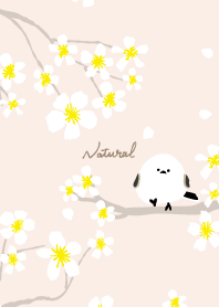 Long-tailed Tit White flower8 from Japan