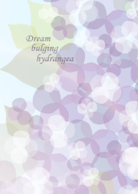 Dream bulging hydrangea