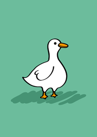 Daze duck-Mint color