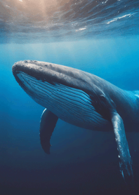 Fantasy tale of the sea35_JP