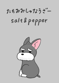 Standing Ears Schnauzer salt & pepper