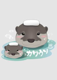 Aonyx cinerea takeing a bath