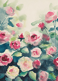薔薇(バラ)の花の着せかえ(R4234)