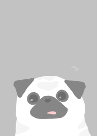 PUG gray