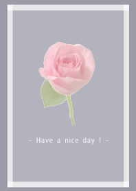 - Rose Theme - 19