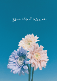 Blue sky and flowers