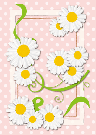 polka dots pattern and chamomile: Pink