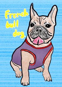 เฟรนช์บูลด็อกสตาร์