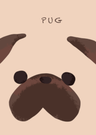 Pug big