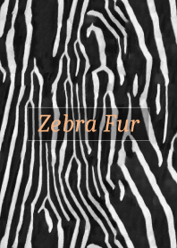Zebra Fur 34