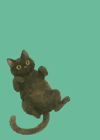 Relaxing black cat on blue green
