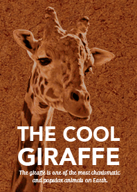 Cool Giraffe