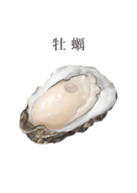 oyster 7