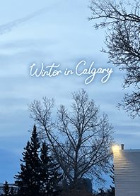 Winter in Calgary (33)