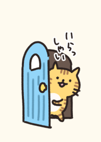 Hello cats