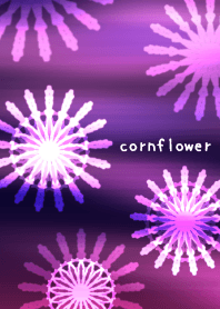 cornflower