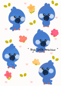 Hyacinth macaw