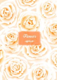 Flowers-8 *