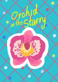 Orchid in the Starry