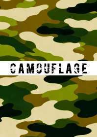 CAMOUFLAGE THEME 25