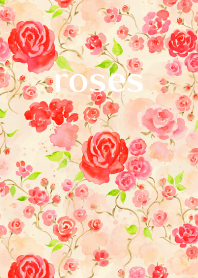 Rose Dream02 yellow JP