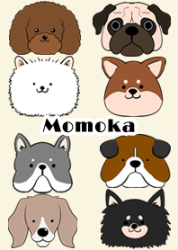 Momoka Scandinavian dog style