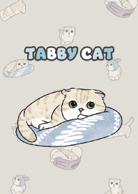 creamtabby3 - linen