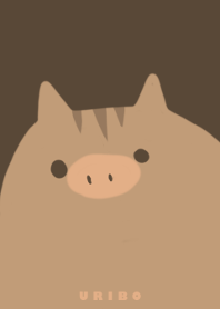 Boar