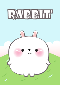 Cute Chubby White Rabbit Theme