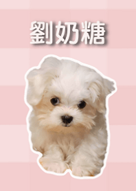 劉奶糖寶寶
