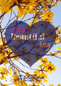 * It's a Beautiful Day *
