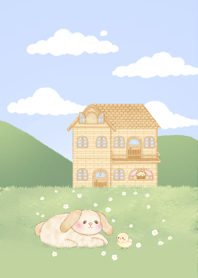 Cute Bunny & House garden