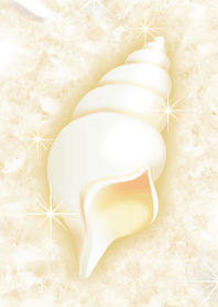 大きな寶や財宝を巻き込む 白の巻貝