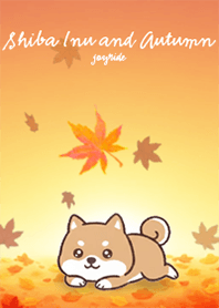 Shiba Inu and Autumn2