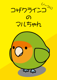 Maru-chan of Lovebird (normal)