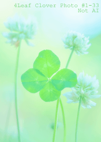4leaf Clover Photo#1-33Not AI