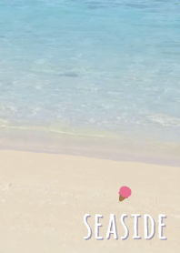 海濱 冰'紫色的'