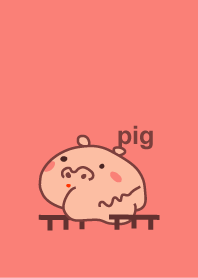 Pig ( looking )