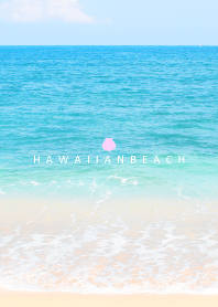 HAWAIIAN BEACH -shell- 37