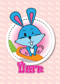 Year of the Rabbit