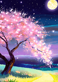 Beautiful night cherry blossoms#1774