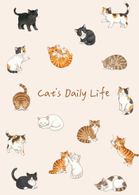 Cute cats daily life.