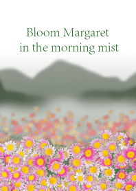 朝霧の山間に野原いっぱいのマーガレット