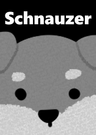 Schnauzer dress up black version