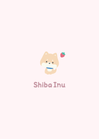 Shiba Inu3 Strawberry - Pink2