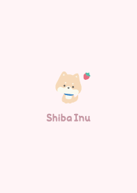 Shiba Inu3 Strawberry / Pink2