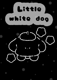 little white dog