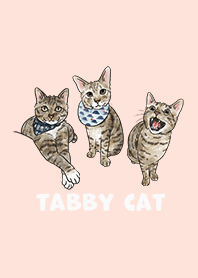 tabbycat2 - peach pink